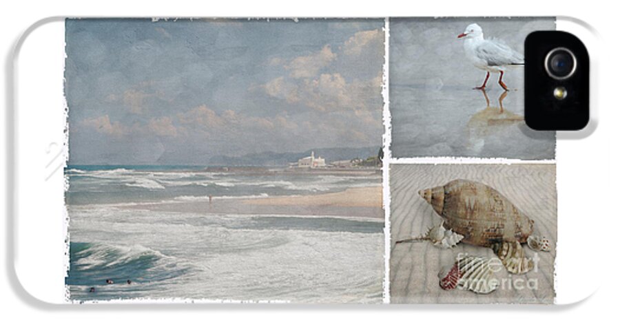 Beach iPhone 5 Case featuring the photograph Beach Triptych 1 by Linda Lees