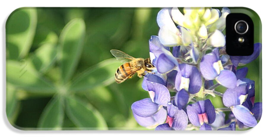 Bee iPhone 5 Case featuring the photograph Bee by Jeffrey Burns