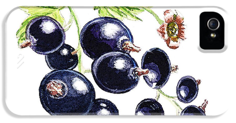 Blackcurrant iPhone 5 Case featuring the painting Blackcurrant Berries by Irina Sztukowski