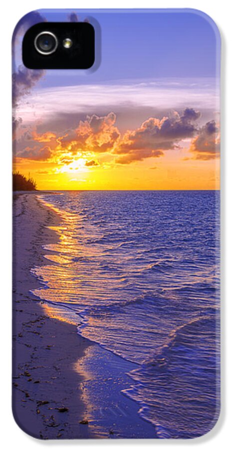 Blaze iPhone 5 Case featuring the photograph Blaze by Chad Dutson