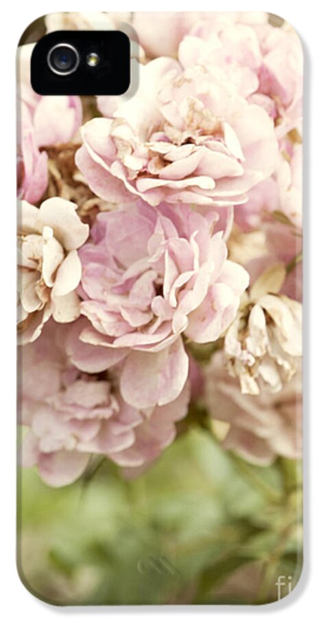 Beauty In Nature iPhone 5 Case featuring the photograph Bouquet of Vintage Roses by Juli Scalzi