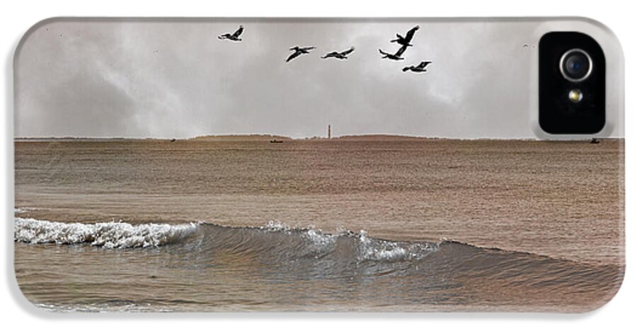 Cape iPhone 5 Case featuring the photograph Cape Lookout Pelicans by Betsy Knapp