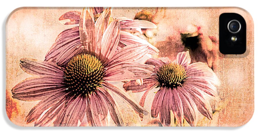 Flower iPhone 5 Case featuring the photograph Echinacea Impressions by Bob Orsillo