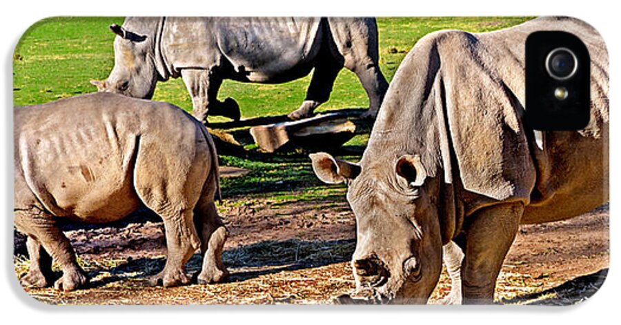 Tarongah Western Plains Zoo iPhone 5 Case featuring the photograph Family Feast by Miroslava Jurcik