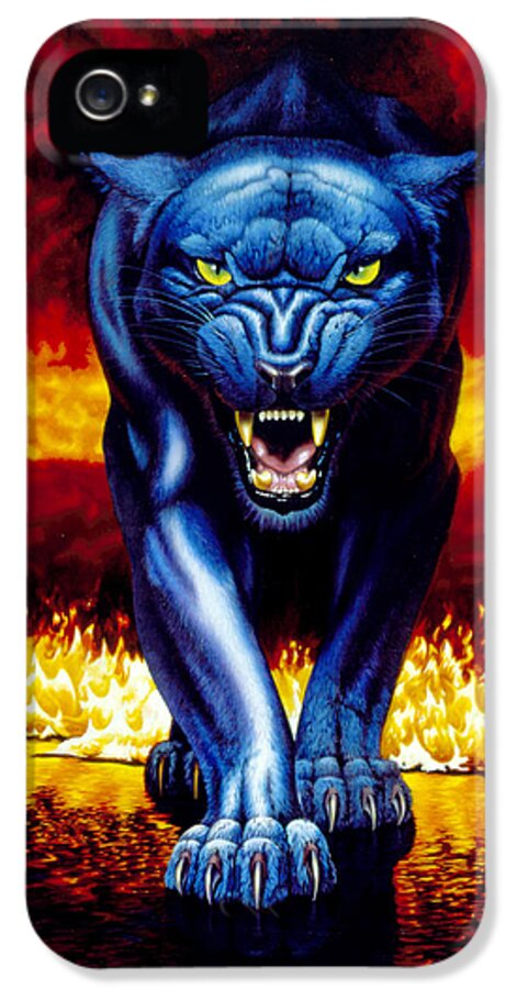 Animal iPhone 5 Case featuring the photograph Fire Panther by MGL Meiklejohn Graphics Licensing
