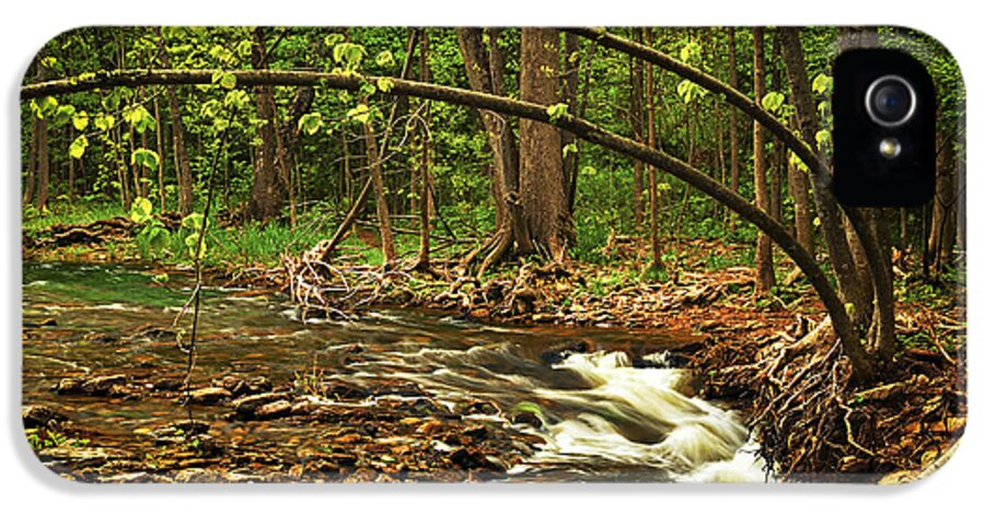 Waterfall iPhone 5 Case featuring the photograph Forest river by Elena Elisseeva