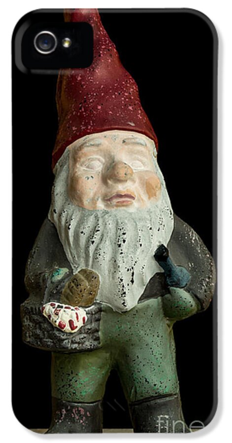 Gnome iPhone 5 Case featuring the photograph Garden Gnome by Edward Fielding