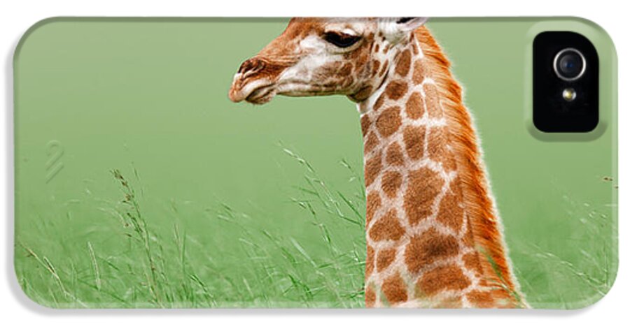 #faatoppicks iPhone 5 Case featuring the photograph Giraffe lying in grass by Johan Swanepoel