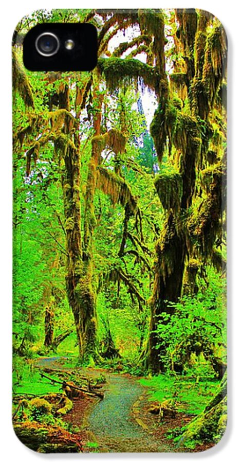 Moss iPhone 5 Case featuring the photograph Hall of Moss by Benjamin Yeager