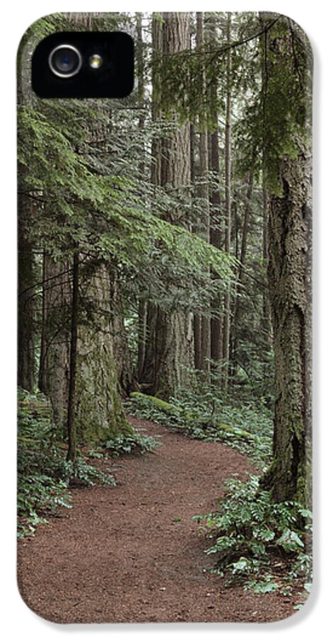 Forest iPhone 5 Case featuring the photograph Heritage Forest by Randy Hall