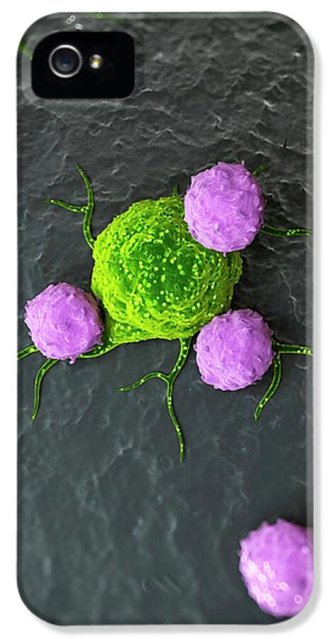 Artwork iPhone 5 Case featuring the photograph Immune Response To Cancer by Sebastian Kaulitzki
