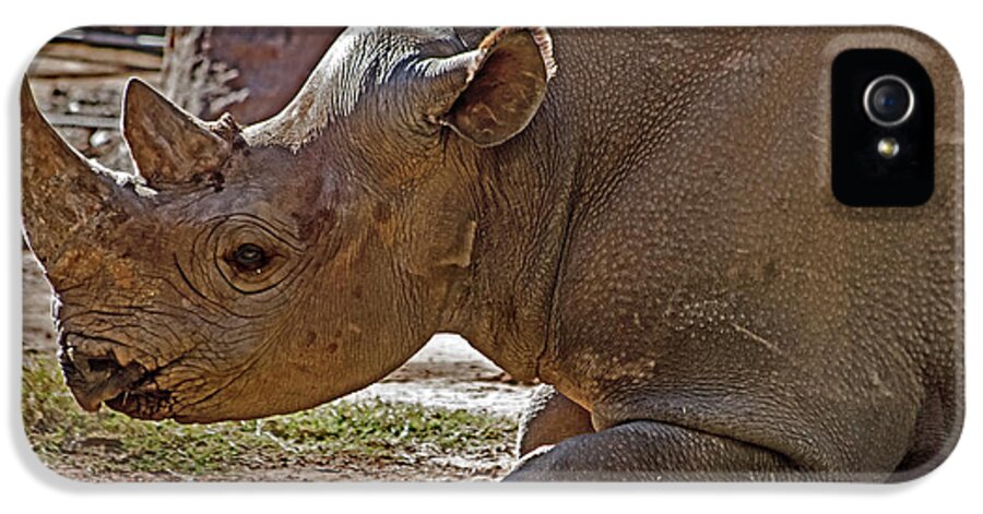 #black Rhino iPhone 5 Case featuring the photograph Its my horn not your medicine by Miroslava Jurcik