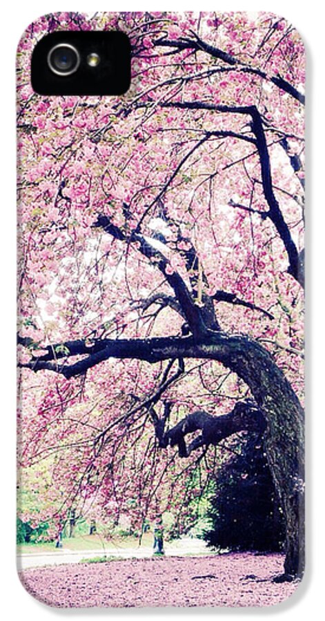 Spring iPhone 5 Case featuring the photograph La Vie en Rose by Natasha Marco