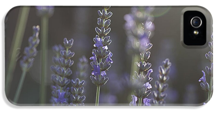 Lavender iPhone 5 Case featuring the photograph Lavender Flare. by Clare Bambers