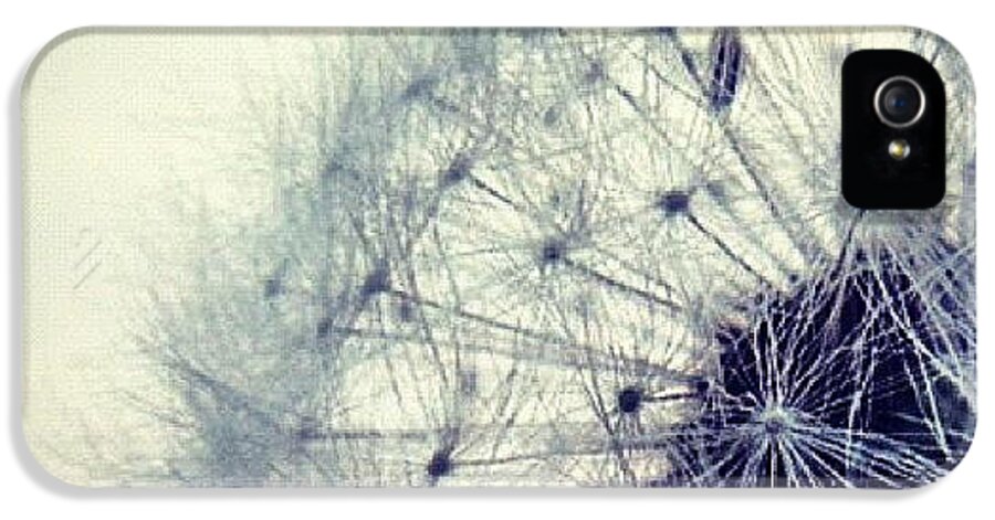 Life iPhone 5 Case featuring the photograph #mgmarts #dandelion #love #micro by Marianna Mills