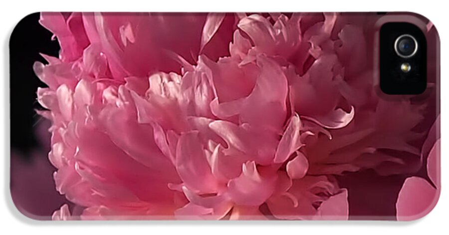 Peony iPhone 5 Case featuring the photograph Peony by Rona Black