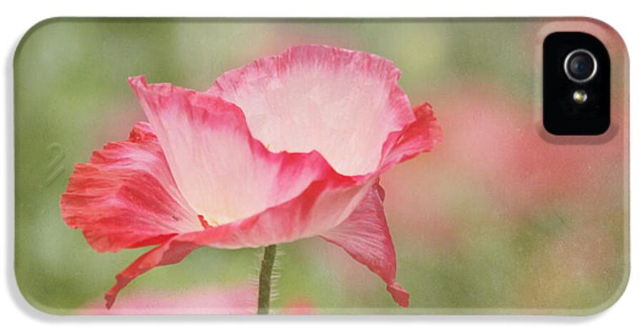 Poppy iPhone 5 Case featuring the photograph Pink Poppy by Kim Hojnacki