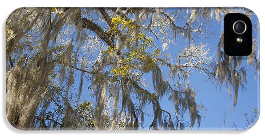 Spanish iPhone 5 Case featuring the photograph Pure Florida - Spanish Moss by Alexandra Till