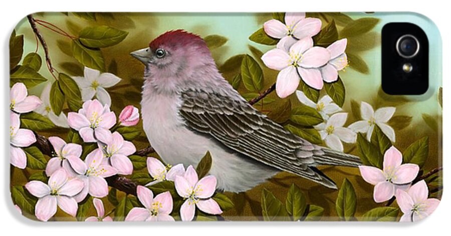 Animal iPhone 5 Case featuring the painting Purple Finch by Rick Bainbridge