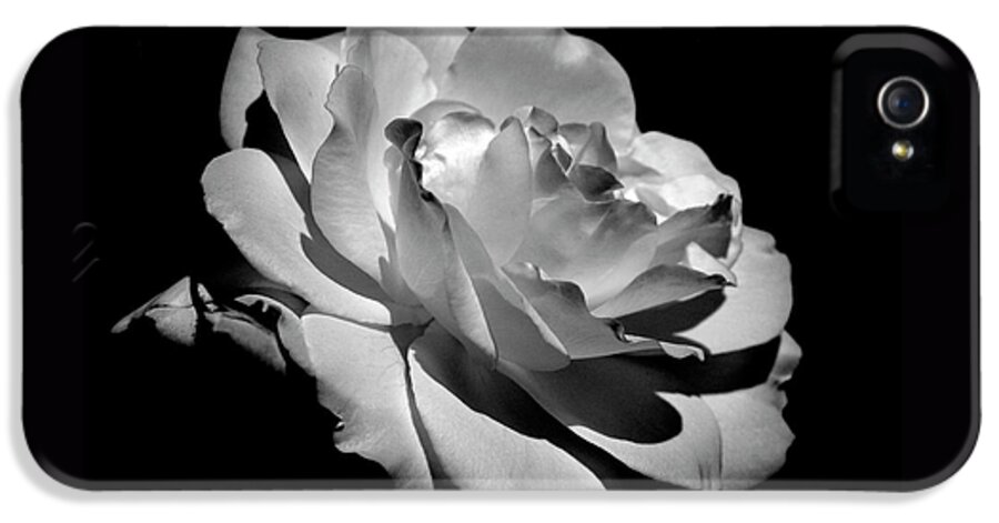 Rose iPhone 5 Case featuring the photograph Rose by Rona Black