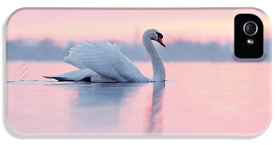 Mute Swan iPhone 5 Case featuring the photograph Serenity  Mute Swan at Sunset by Roeselien Raimond