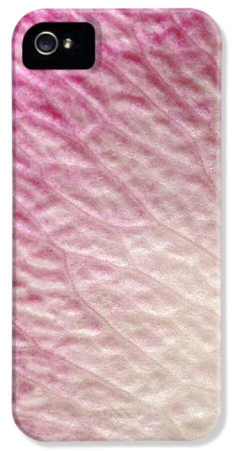 Shades Of Pink IPhone 5 Case for Sale by Luke Moore