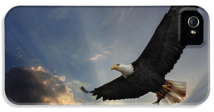 Bird iPhone 5 Case featuring the photograph Soar to new heights by Lori Deiter