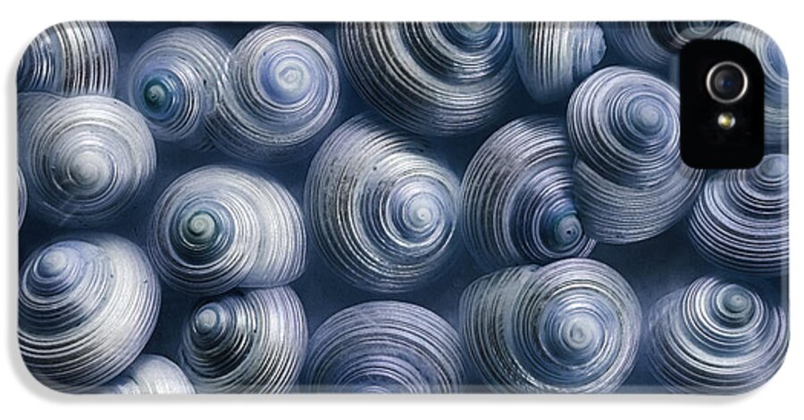 Snails iPhone 5 Case featuring the photograph Spirals Blue by Priska Wettstein