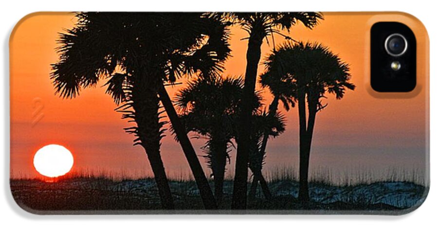 Palm iPhone 5 Case featuring the digital art Sunrise and Group of Palm Trees by Michael Thomas