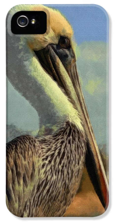 Sunrise Pelican iPhone 5 Case featuring the digital art Sunrise Pelican by Ernest Echols