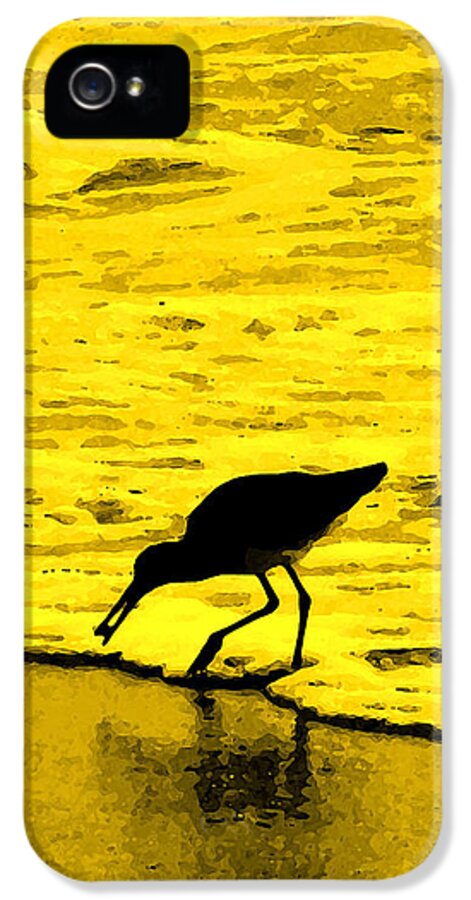 Florida iPhone 5 Case featuring the photograph This Beach Belongs To Me by Ian MacDonald