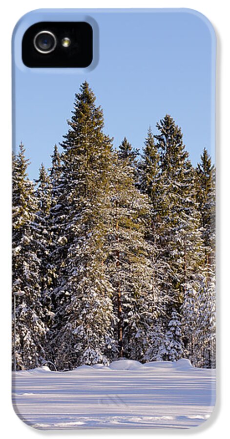 Winter iPhone 5 Case featuring the photograph Winter landscape by Frederick Kjorling