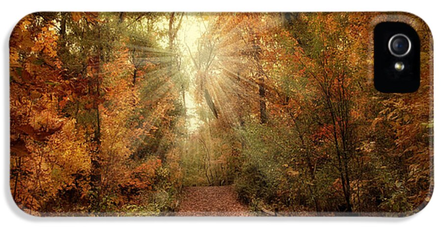 Autumn iPhone 5 Case featuring the photograph Woodland Light by Jessica Jenney