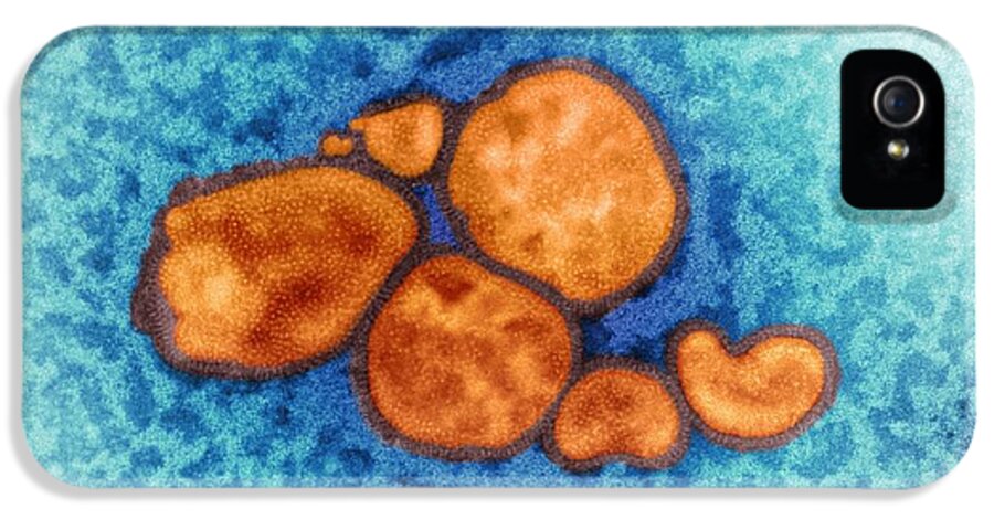 Swine Flu iPhone 5 Case featuring the photograph 2009 H1n1 Swine Flu Virus, Tem #4 by Centre For Infectionshealth Protection Agency