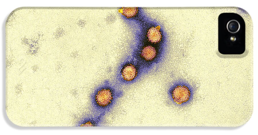 Influenza H5 iPhone 5 Case featuring the photograph Avian Influenza Virus Particles, Tem by Hazel Appleton, Centre For Infectionshealth Protection Agency