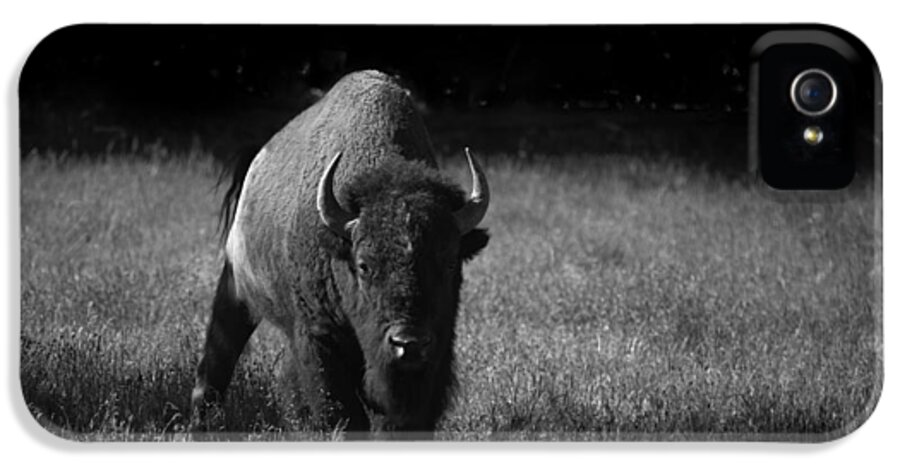 Mammal iPhone 5 Case featuring the photograph Bison by Ralf Kaiser