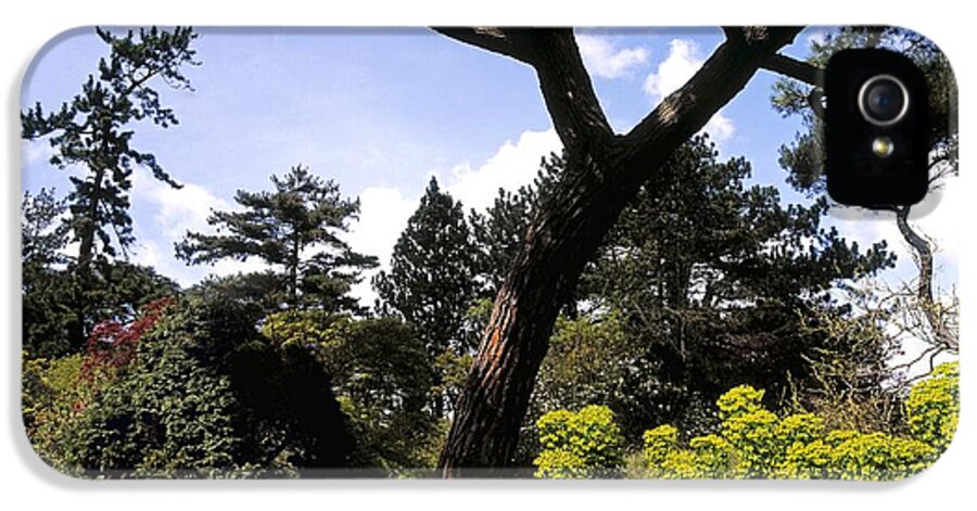 Blue Sky iPhone 5 Case featuring the photograph Irish National Botanic Gardens, Dublin by The Irish Image Collection 