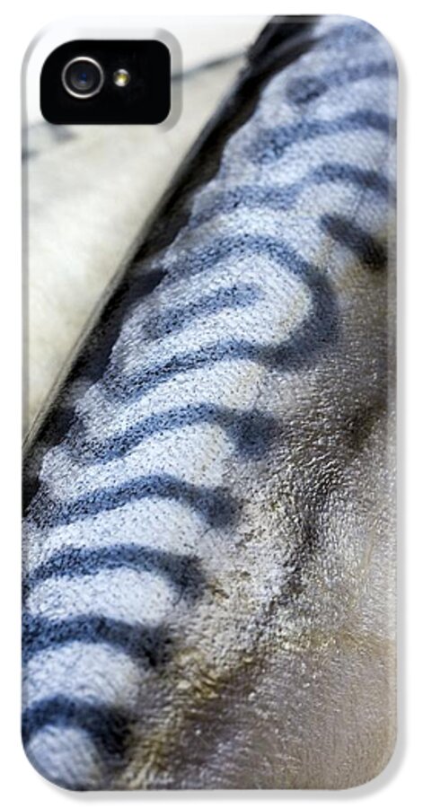 Mackerel iPhone 5 Case featuring the photograph Mackerel by Jon Stokes