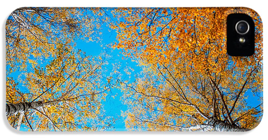 Autumn iPhone 5 Case featuring the photograph Meet in Heaven. Autumn Glory by Jenny Rainbow