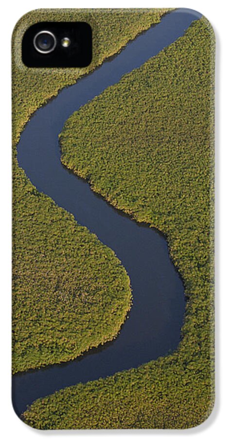 Mp iPhone 5 Case featuring the photograph Papyrus Cuperus Papyrus Swamps by Pete Oxford