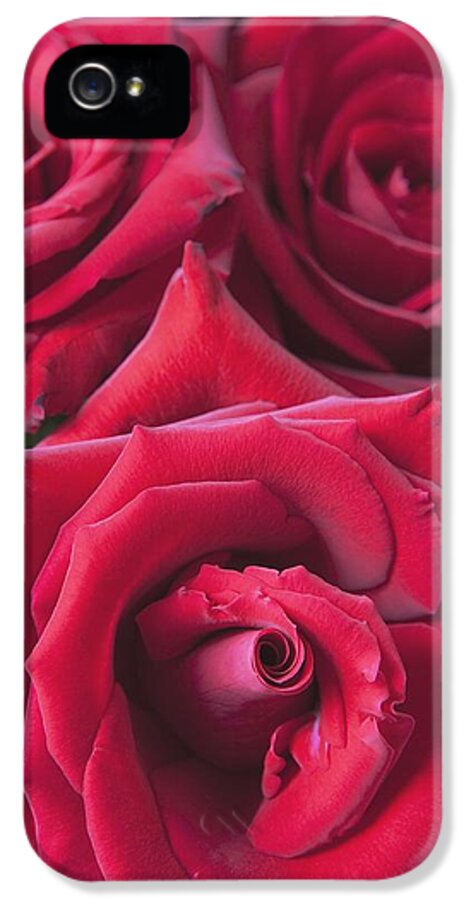 Blur iPhone 5 Case featuring the photograph Red Roses Quebec, Canada by Michael Interisano