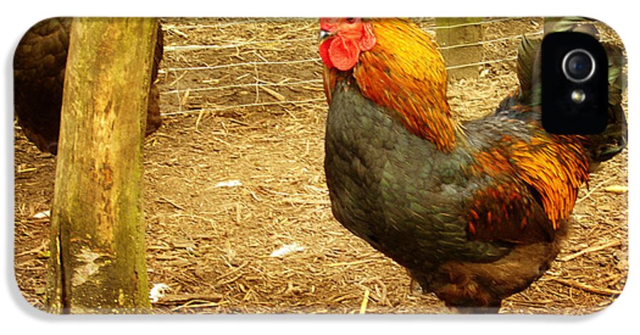 Chicken iPhone 5 Case featuring the photograph Rooster farm by Yvon van der Wijk