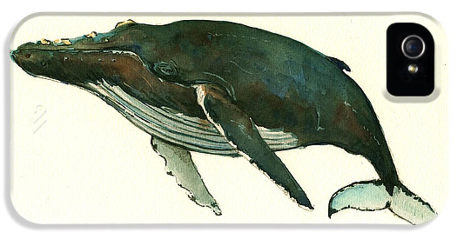 Blue Whale Painting iPhone 5 Case featuring the painting Humpback whale #1 by Juan Bosco