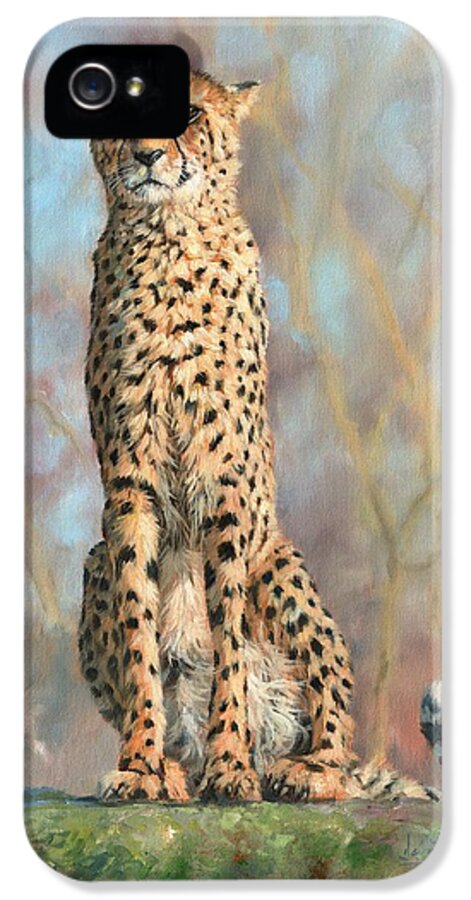 Cheetah iPhone 5 Case featuring the painting Cheetah #10 by David Stribbling