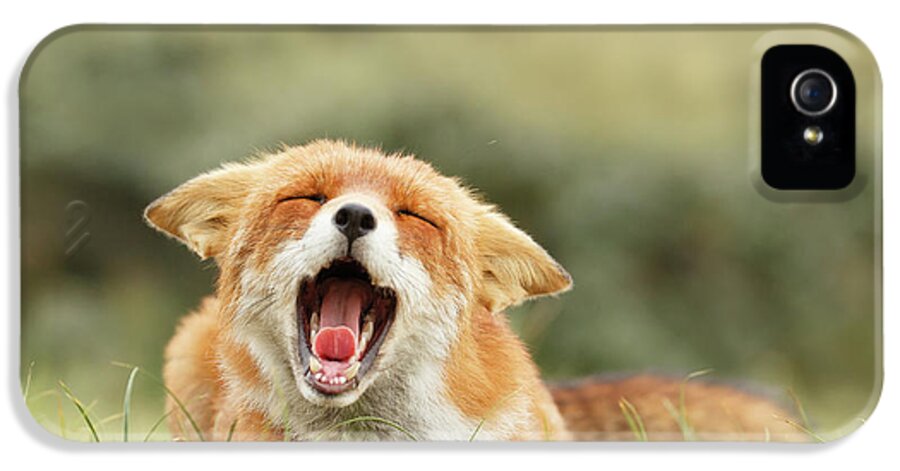 Red Fox iPhone 5 Case featuring the photograph Funny Fox #1 by Roeselien Raimond