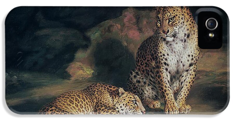 Pair iPhone 5 Case featuring the painting A Pair of Leopards by William Huggins