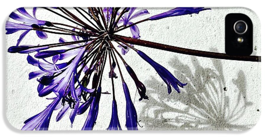 Flower iPhone 5 Case featuring the photograph Agapanthus by Julie Gebhardt