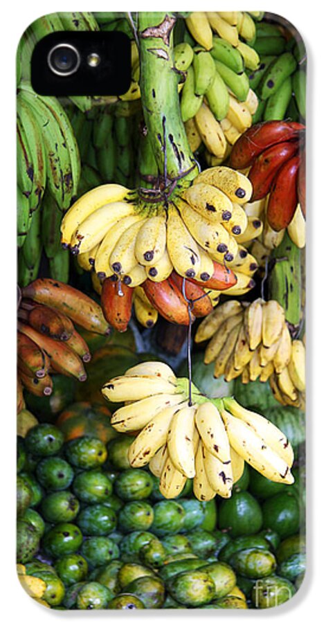 Arrangement iPhone 5 Case featuring the photograph Banana display. by Jane Rix