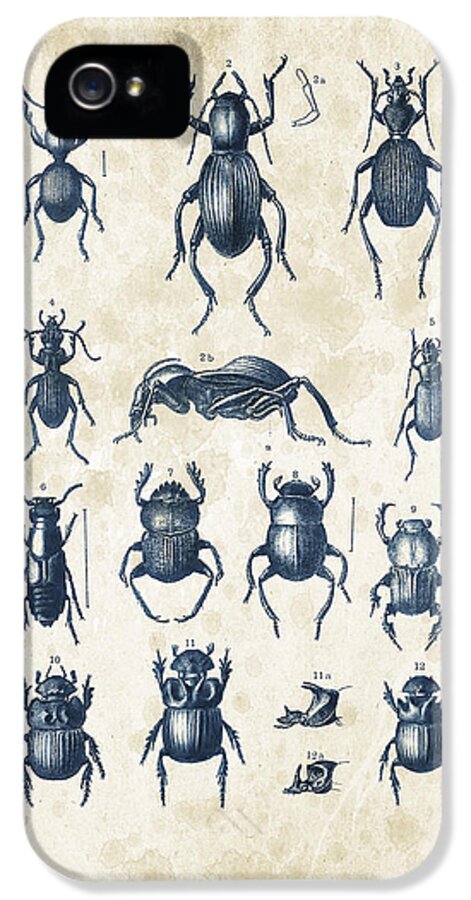 Beetle iPhone 5 Case featuring the digital art Beetles - 1897 - 01 by Aged Pixel