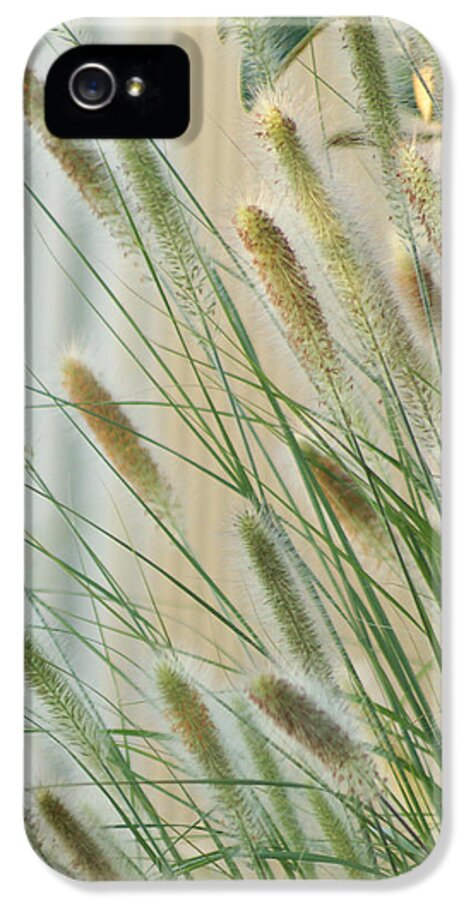 Floral iPhone 5 Case featuring the photograph Breeze by Holly Kempe
